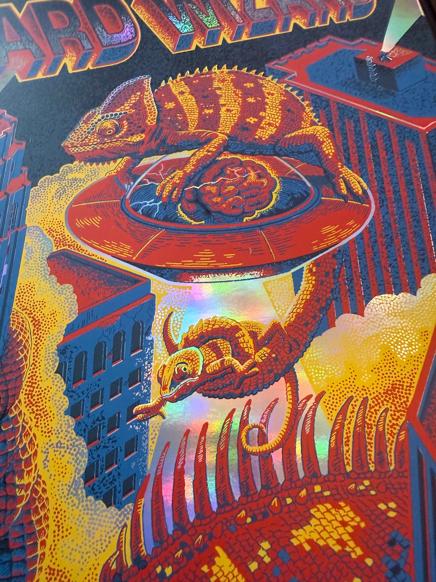 'King Gizzard RYB Rainbow Foil